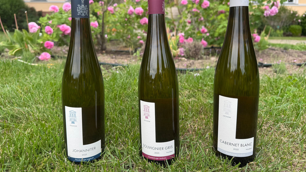 Wein-Probierpaket: 6 Flaschen, 3 Rebsorten